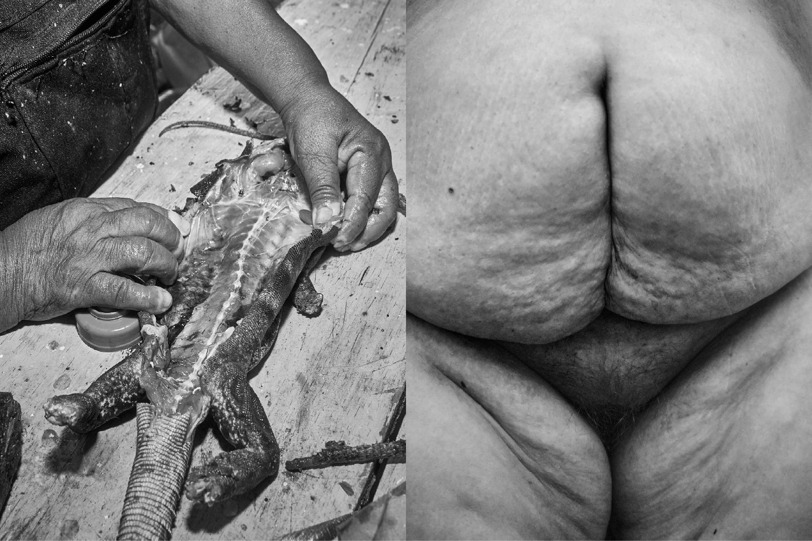 We are split Guchachi’ Reza - Split like an Iguana - Photography by Juana Pola